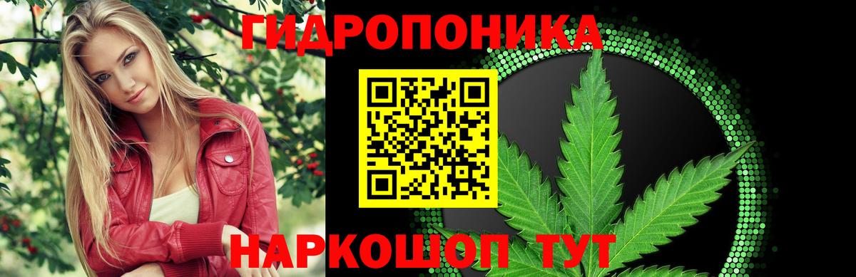 МАРИХУАНА Ganja Карпинск